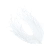 Ostrich feathers white