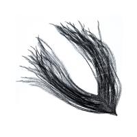 Ostrich feathers black
