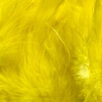 SCHLAPPEN DYED yellow