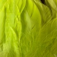 SCHLAPPEN DYED fluo chartreuese