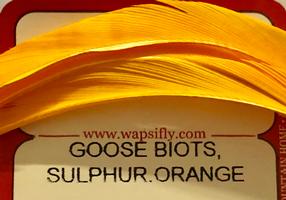 Sulphur Orange