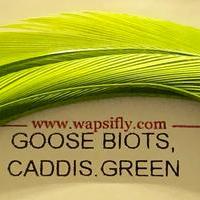 Caddis green