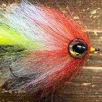 Tricolor Bait Fish Age # 5/0
